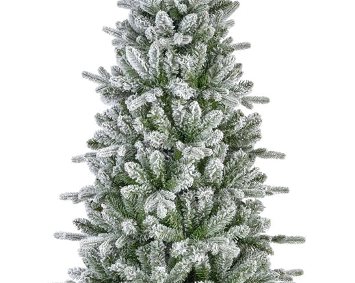 Pino Killington frosted d.113xh.240-verde-bianco