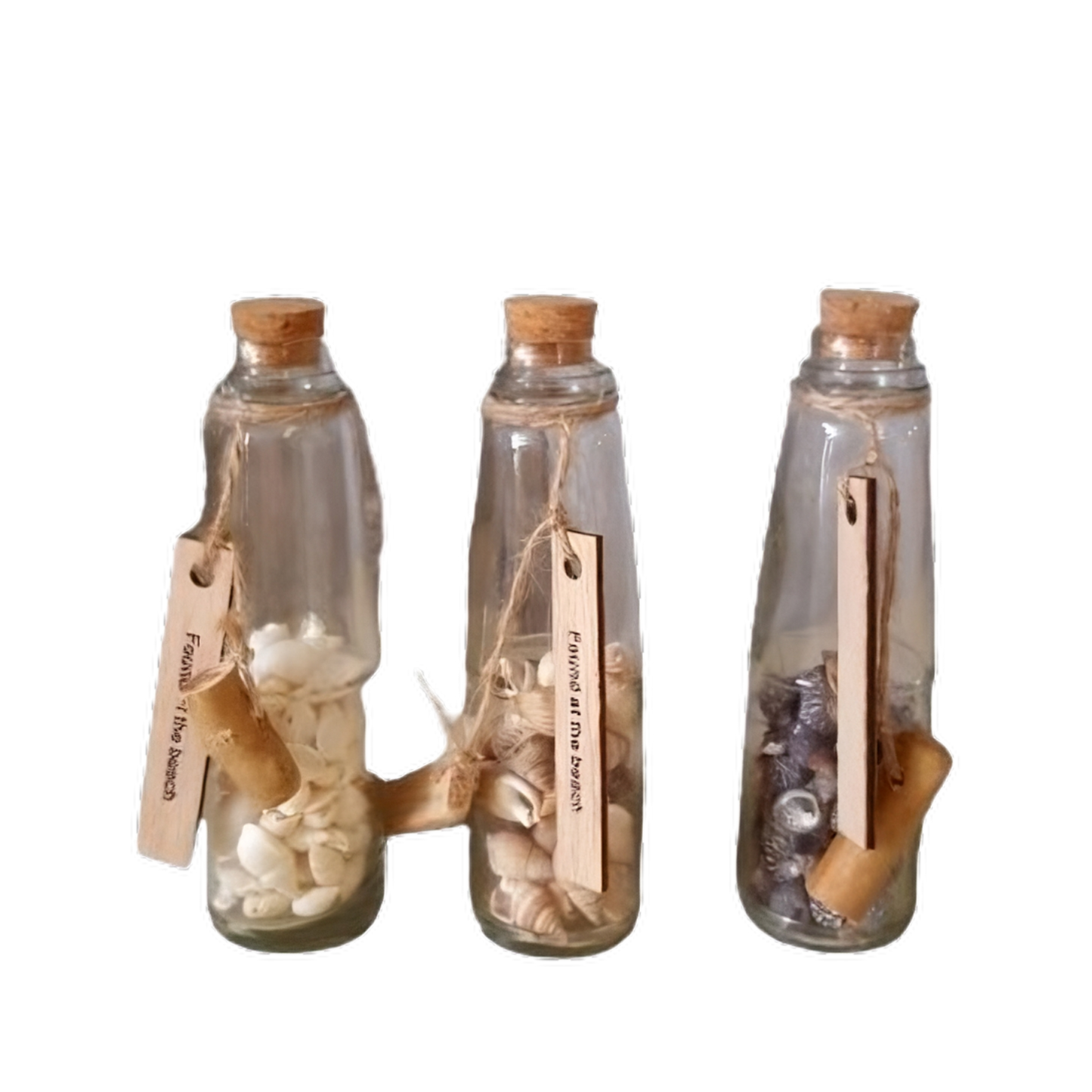 Bottiglia decorata con conchiglie d.4x h.15cm assortite-naturale-trasparente