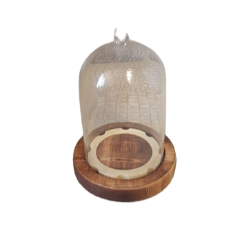 Campana in vetro con base in legno d.9xh.13,5cm-naturale