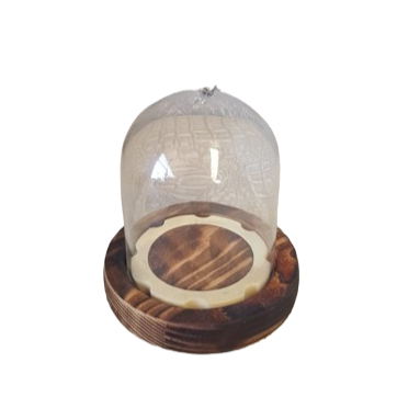 Campana in vetro con base in legno d.9xh.8,5cm-naturale