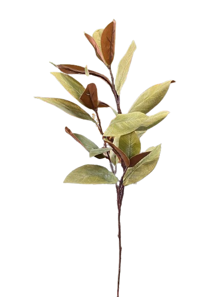 Ramo foglie magnolia cm 90-marrone-verde
