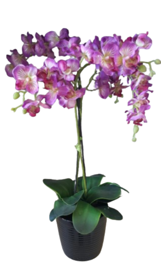Orchidea in vaso d.14xh.60cm-viola