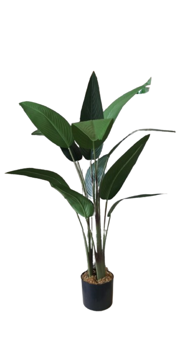 Pianta artificiale sterlitzia h. 100 cm