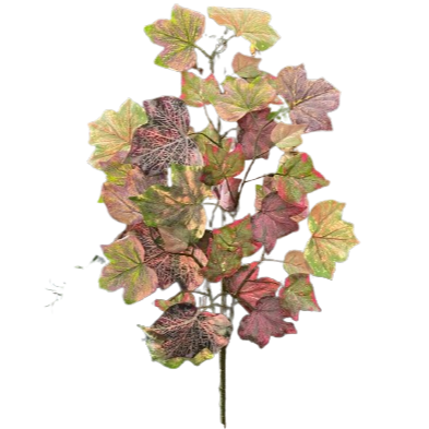 Edera frost l.30xh.60cm-verde-rosa