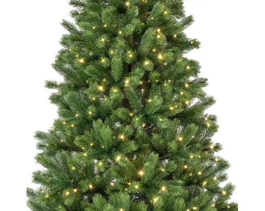 Albero Kenmore fir micro led dia 120 cm h. 210 cm-verde con luci incorporate bianco caldo