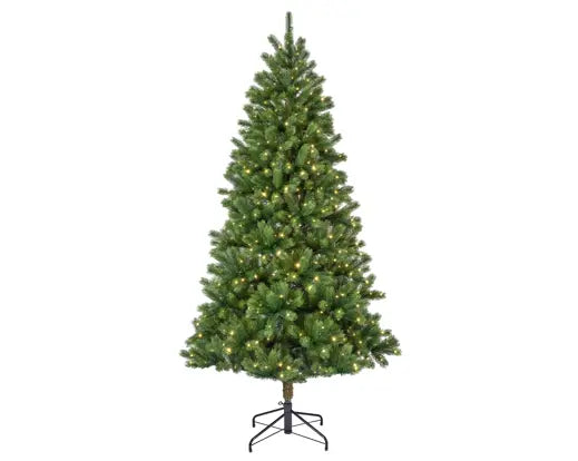 Albero Kenmore fir micro led dia 132 cm h. 240 cm verde con luci incorporate bianco caldo