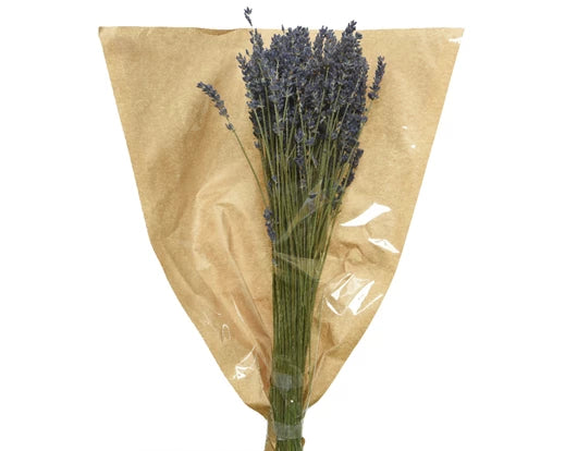 Lavanda essiccata  dia 12 cm Alt. 50 cm-lavanda